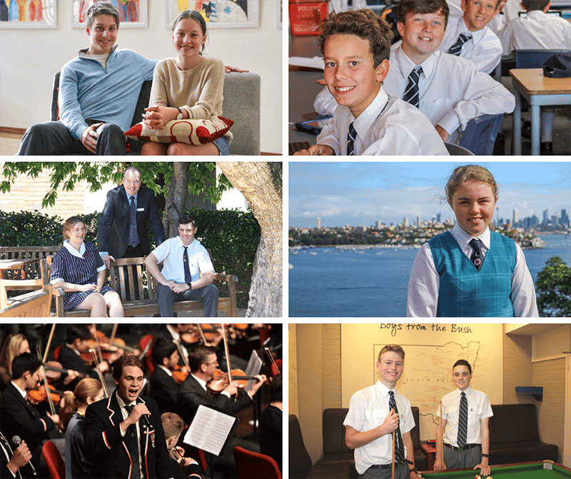 Boarder stories from boarders themselves