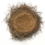 Empty Nest