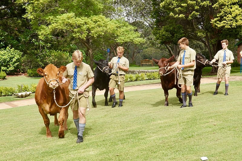 Boarding Schools Expo blog contemporary boarding