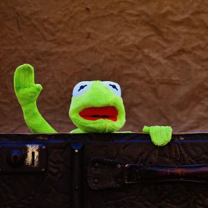 kermit